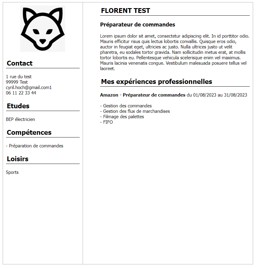 Exemple de CV